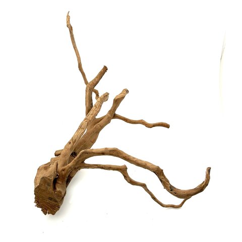 Rote Moorwurzel #4 (60x24x38 cm)