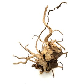Garnelenmarkt Rote Moorwurzel #7 (53x39x33 cm)