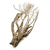 Talawa Holz #103