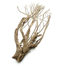  Talawa Holz #103 (80x54x18 cm)