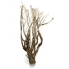 Talawa Holz #103