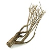 Talawa Holz #102