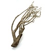 Talawa Holz #102