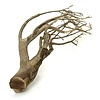 Talawa Holz #102