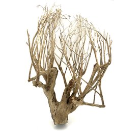  Talawa Holz #101 (76x48x52 cm)