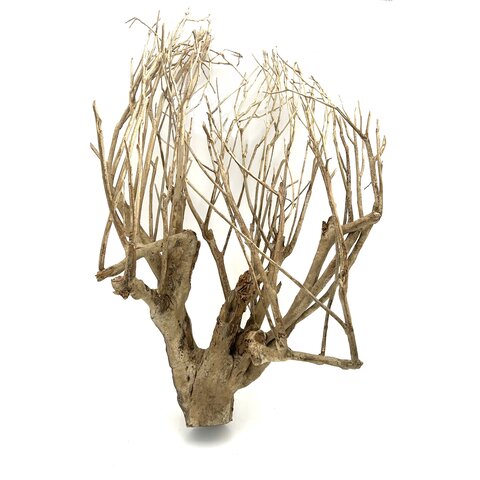 Talawa Holz #101 (76x48x52 cm)