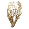 Talawa Holz #101