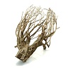 Talawa Holz #101