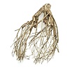 Talawa Holz #101