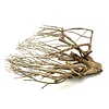 Talawa Holz #101