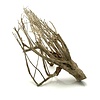 Talawa Holz #101