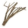 Talawa Holz #1