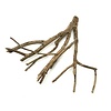 Talawa Holz #1
