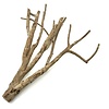 Talawa Holz #1