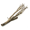 Talawa Holz #2