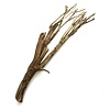 Talawa Holz #2
