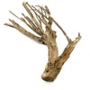 Talawa Holz #4