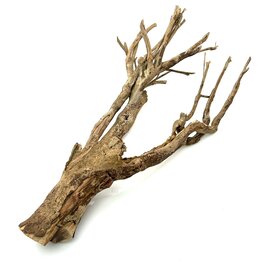  Talawa Holz #5 (62x35x30 cm)
