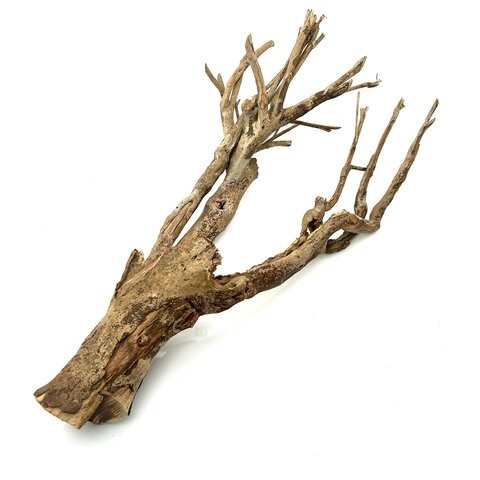 Talawa Holz #5 (62x35x30 cm)
