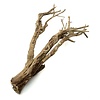 Talawa Holz #5
