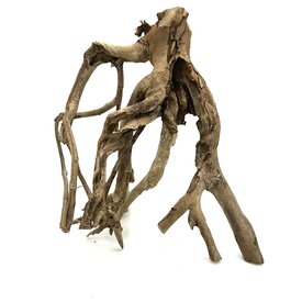  Talawa Holz #6 (49x37x28 cm)