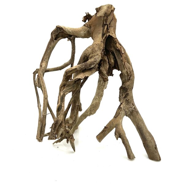  Talawa Holz #6