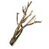 Talawa Holz #7