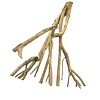 Talawa Holz #7