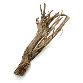  Talawa Holz #8 (48x28x13 cm)