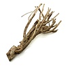 Talawa Holz #8