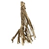 Talawa Holz #8