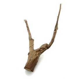  Talawa Holz #9 (48x32x28 cm)