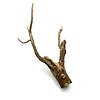 Talawa Holz #9