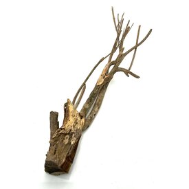  Talawa Holz #10 (67x21x18 cm)