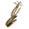 Talawa Holz #10
