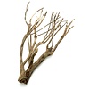 Talawa Holz #11