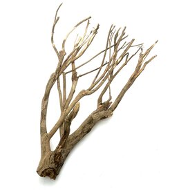 Talawa Holz #11 (61x44x18 cm)