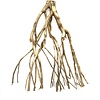 Talawa Holz #11