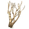 Talawa Holz #11