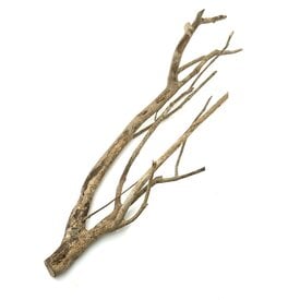  Talawa Holz #13 (61x15x18 cm)