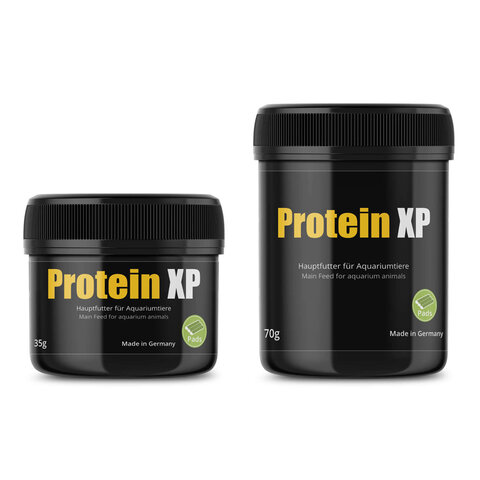 Protein XP