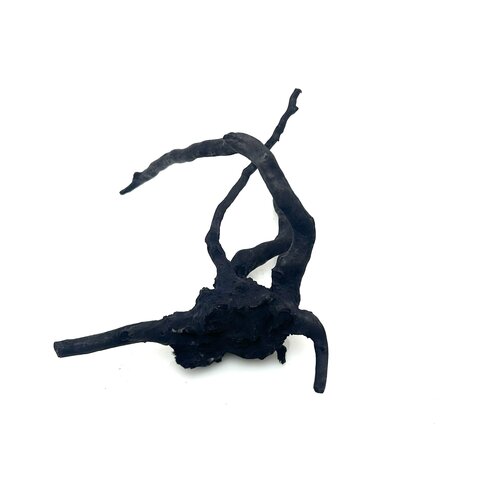 Schwarze Moorwurzel klein xs #11