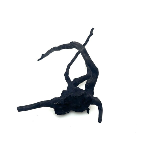 Garnelenmarkt Schwarze Moorwurzel klein xs #11