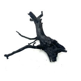 Garnelenmarkt Schwarze Moorwurzel klein xs #10