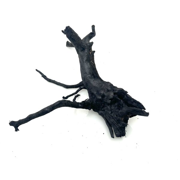 Garnelenmarkt Schwarze Moorwurzel klein xs #10