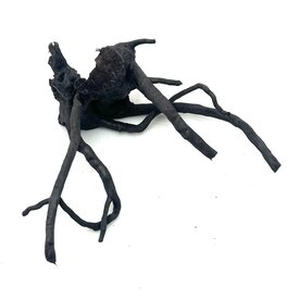 Garnelenmarkt Schwarze Moorwurzel klein xs #9