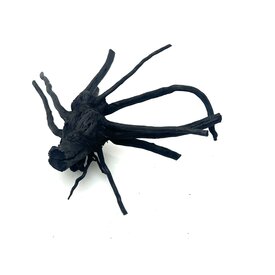 Garnelenmarkt Schwarze Moorwurzel klein xs #7