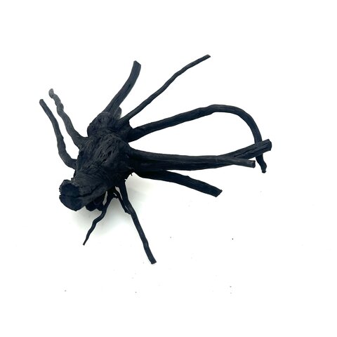 Schwarze Moorwurzel klein xs #7