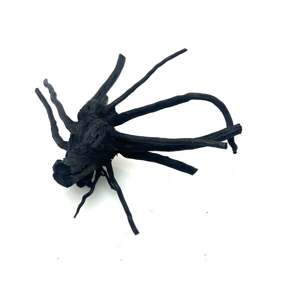 Garnelenmarkt Schwarze Moorwurzel klein xs #7