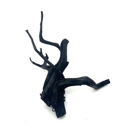 Garnelenmarkt Schwarze Moorwurzel klein xs #6